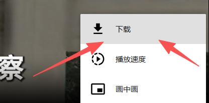 步骤2：选择下载选项